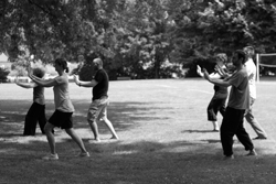 Tai chi dans un parc